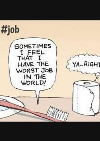Funny Photos 6
