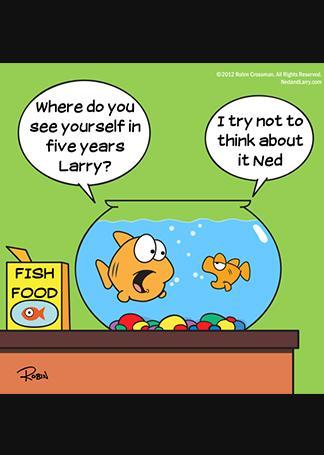 Funny Photos 1