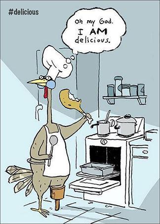 Funny Photos 10