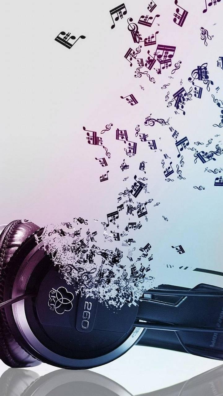 Wallpapers 17